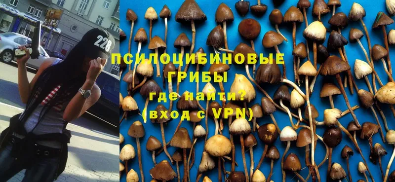 даркнет сайт  Балабаново  Галлюциногенные грибы MAGIC MUSHROOMS 